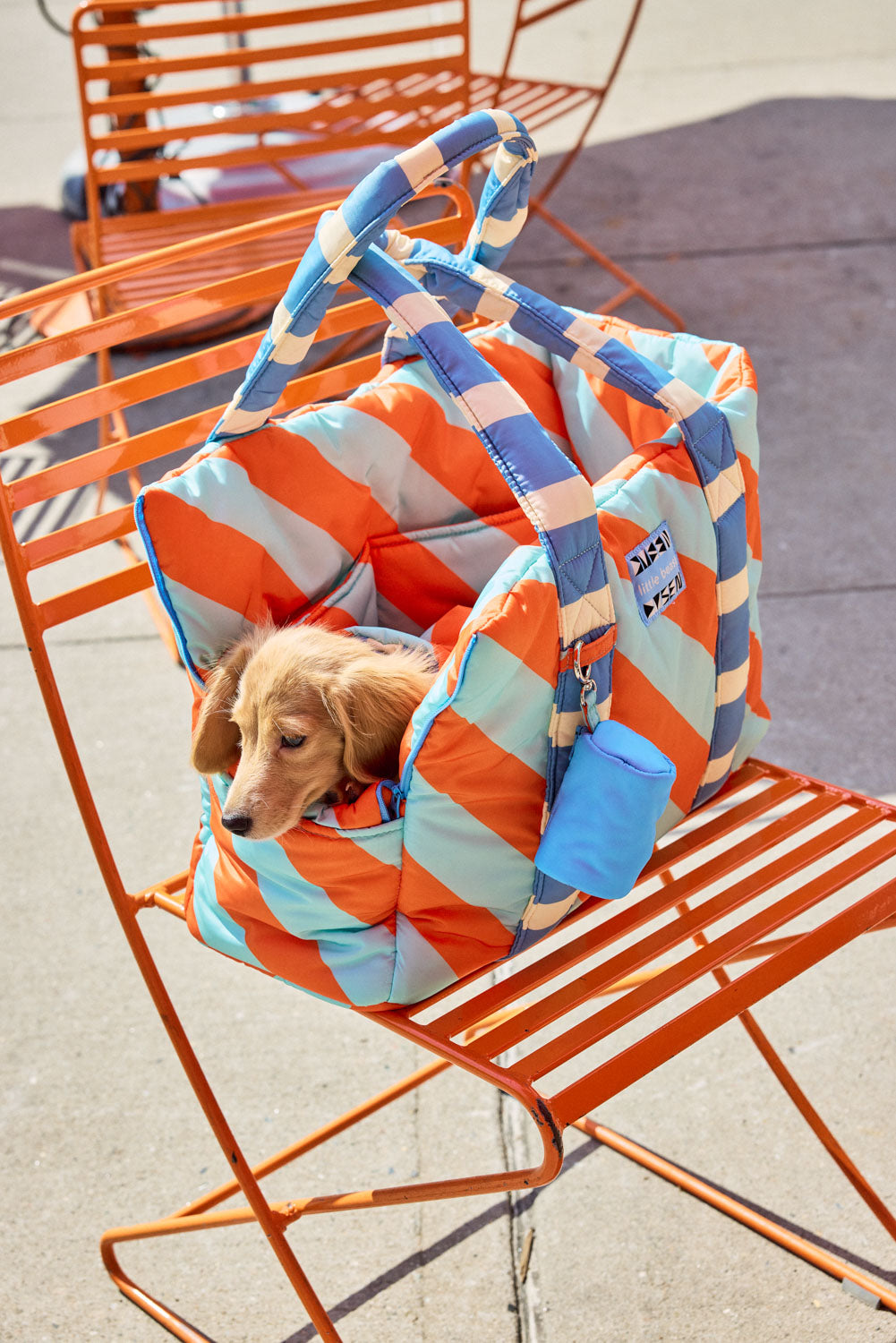 A dachshund sits in an orange and green striped bag . Orange Peel and Piscine Color ways. Shell: 100% Nylon Padding: 100% Polyester. One Size. Orange Peel with Orange and Teal Stripes with Cornflower Blue and beige on reverse. ; Orange You Glad to Have a Forever Companion?