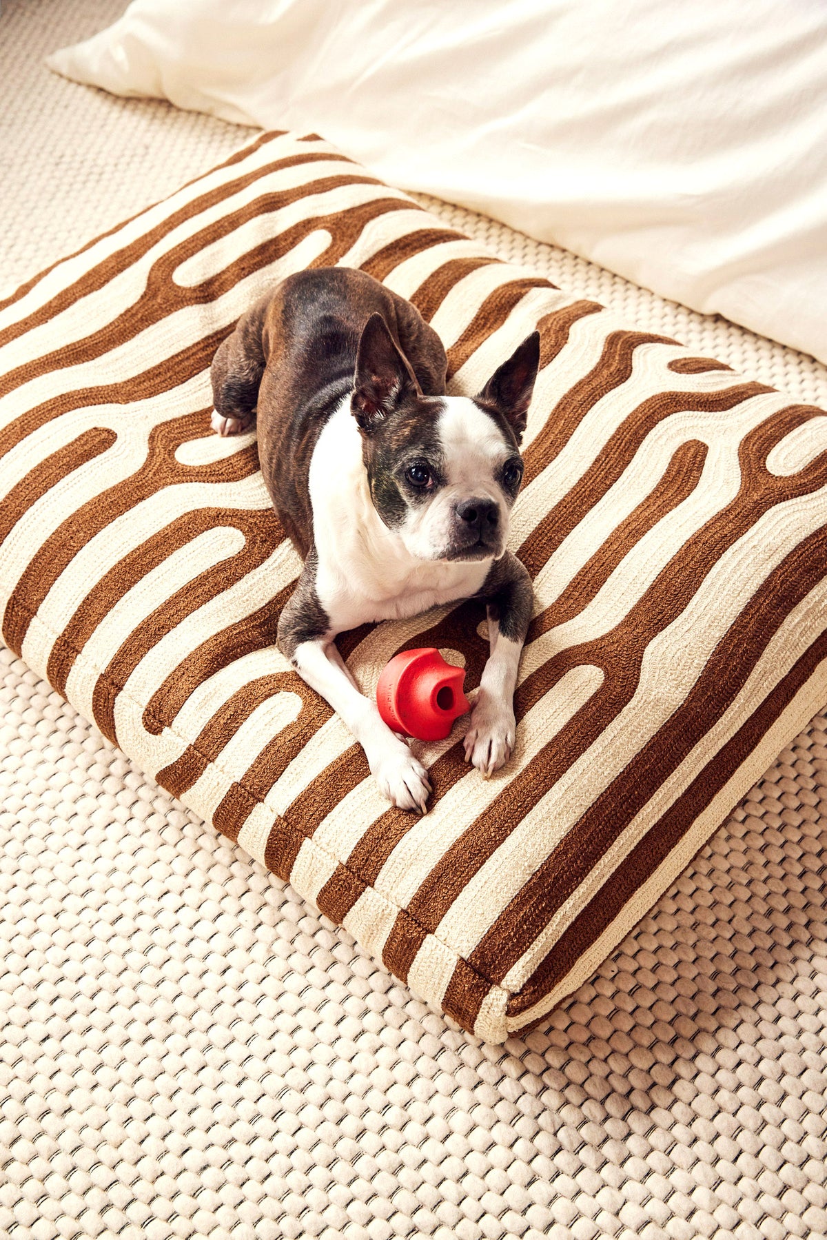 Dusen Dusen Oak Dog Bed. Embroidered dog bed in brown and cream Oak pattern. 100% cotton canvas base with acrylic chain embroidery, poly insert, and back zipper. 36"x 27"x 4".