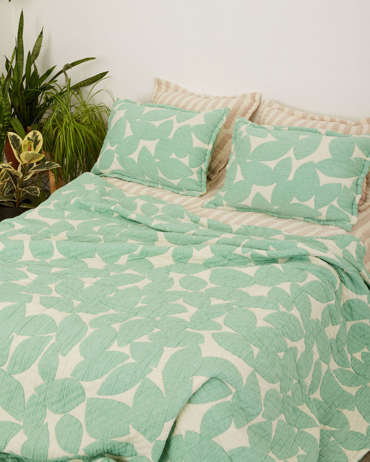 Birch Coverlet