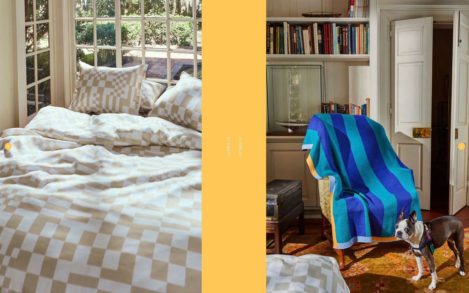 Checked bedding next to window and Striped throw on a chair behdin a boston terrier
