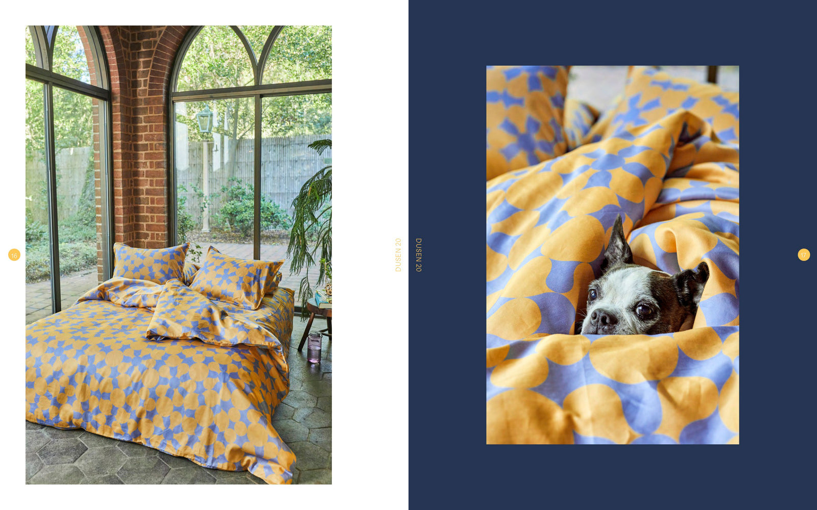 Orange and blue patterned bedding in a green room with dog comfy in the sheets