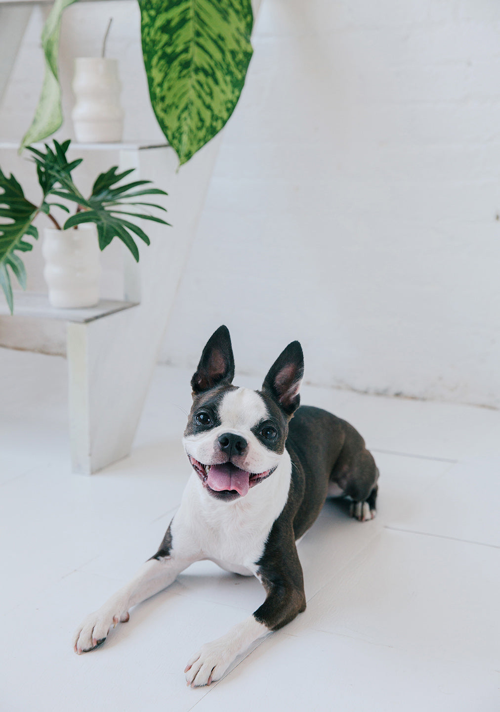 snips smiling and sitting on ground