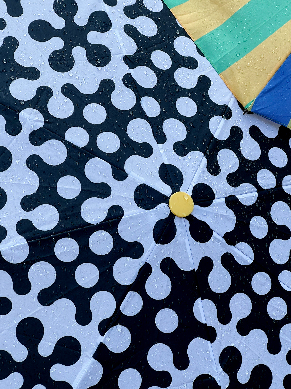 Pattern Umbrella