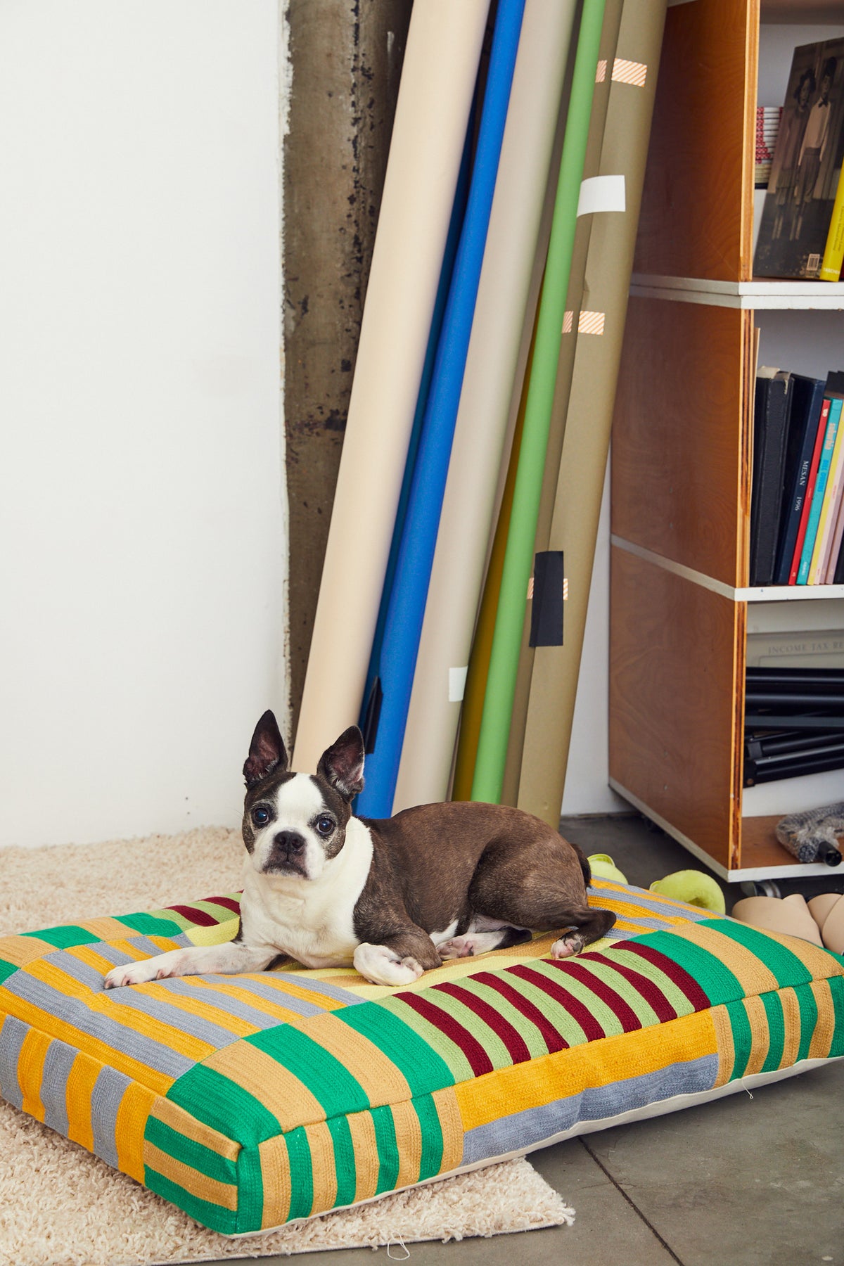 Dusen Dusen Stripe Embroidered dog bed in a multi-color, alternating Stripe pattern. 100% cotton canvas base with acrylic chain embroidery, poly insert, and back zipper. 36"x 27"x 4". Doubles as floor pillow. Wash bed cover alone and inside-out in cold water. Line dry or lay flat to dry. Spot clean recommended. Made in China;
