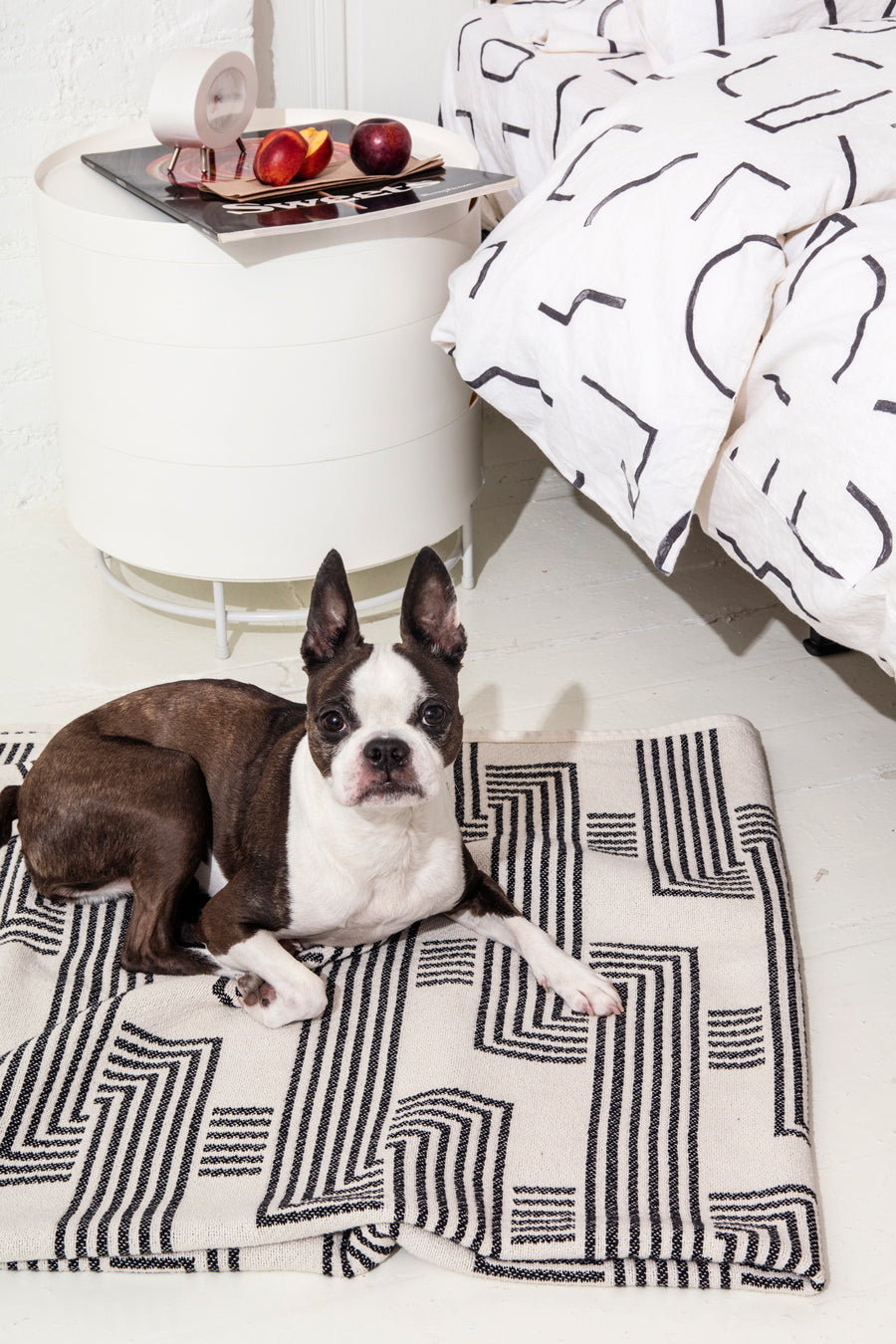 dog on black and white rug
