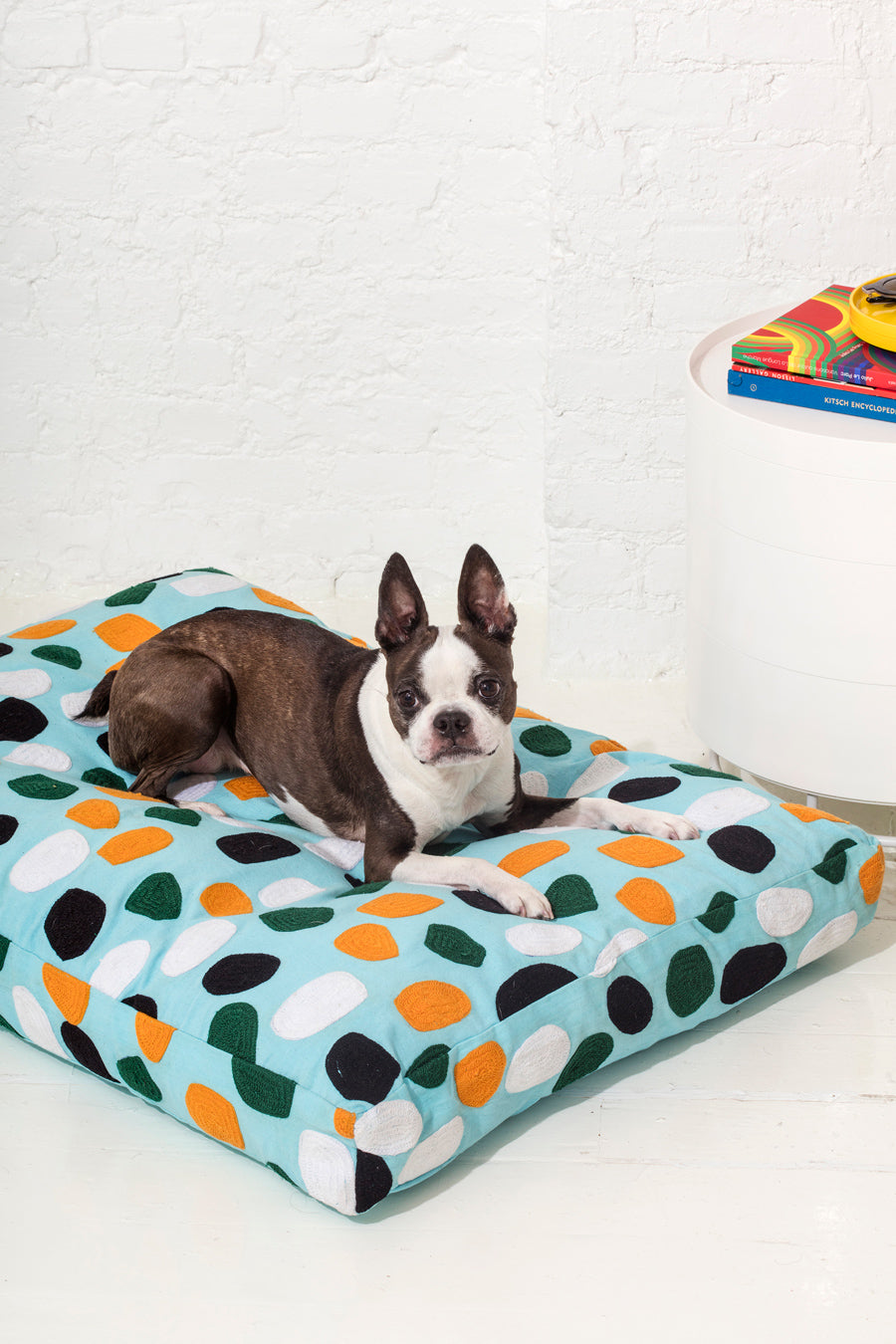 dog on polka dot bed