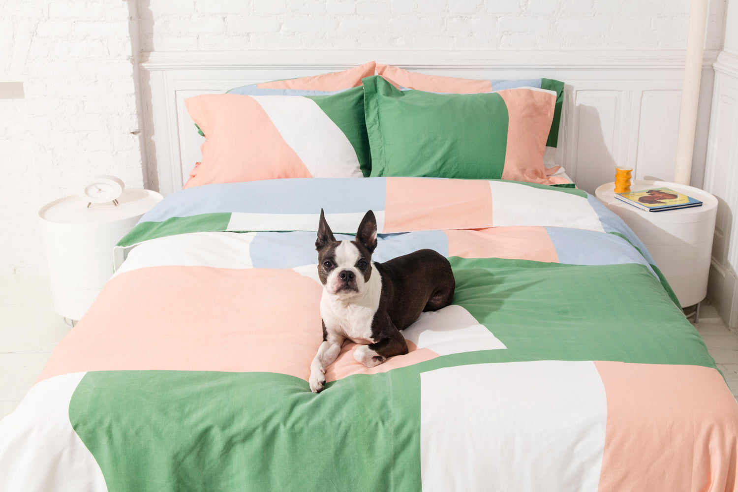 colorblock bedding with dog