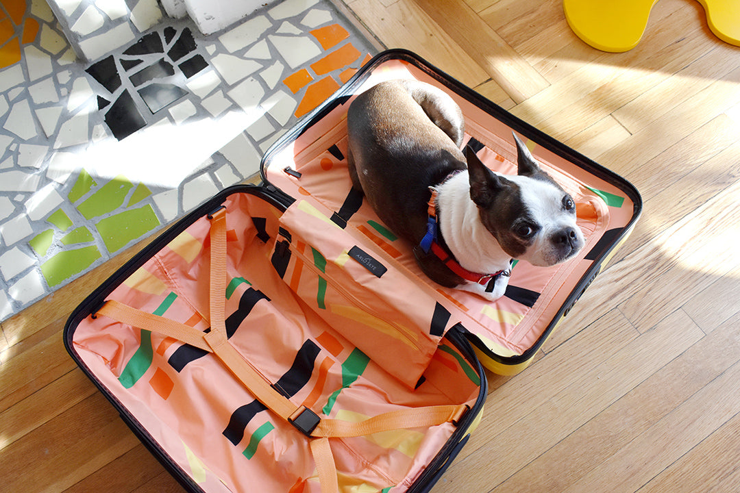 snips in pattern interior of suitcase