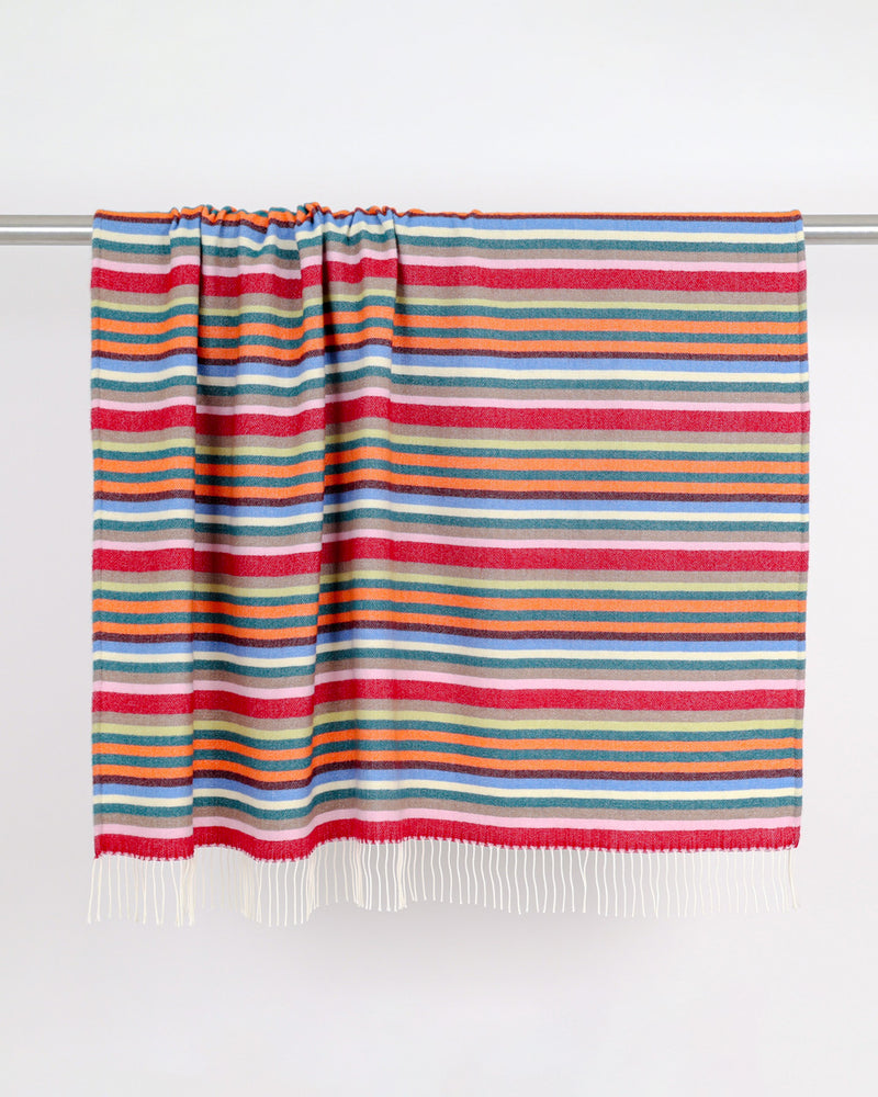 A woven striped blanket with white fringe, hanging from a metal rod against a plain white wall. The blanket features horizontal stripes of red, orange, yellow, green, blue, and white. 