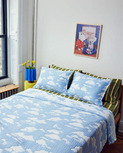 Queen Cloud Coverlet Set