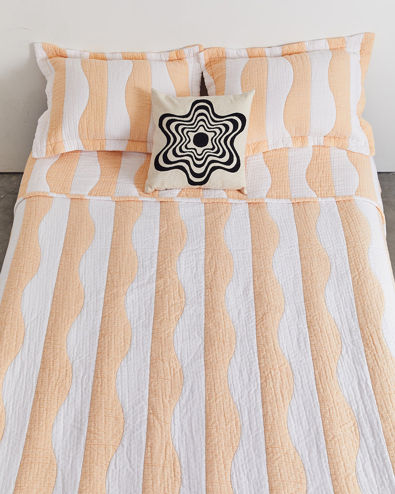 Set of Two Shams