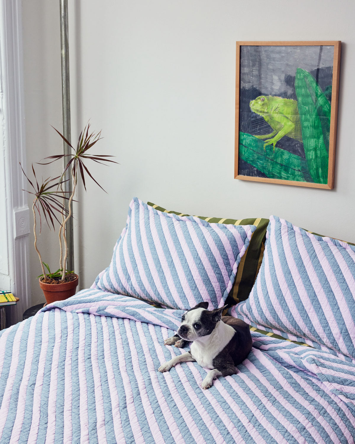 DUSEN DUSENベッドカバー Rose Tilt Coverlet Set | Dusen Dusen