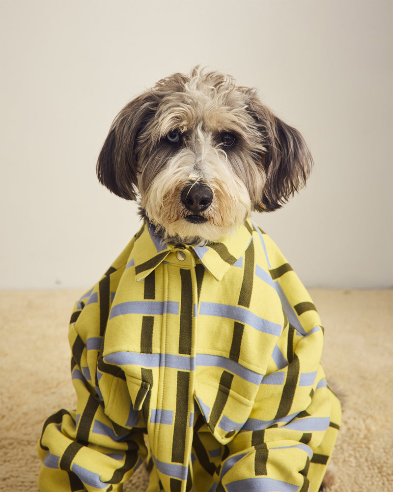 Cotton Pattern Jacket