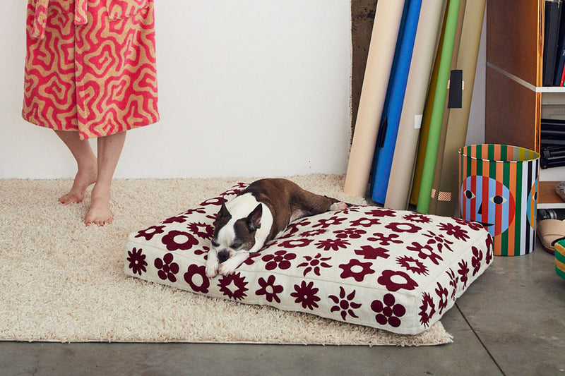 Dog Beds and Blankets